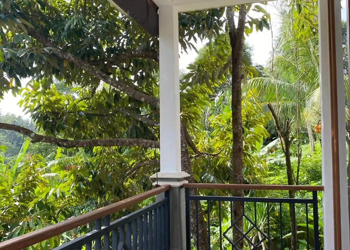فيلة Vishnu - 2br Jungle Retreat With Shared Pool